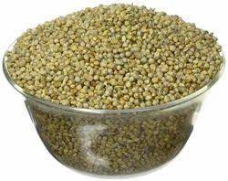Jowar / Sorghum